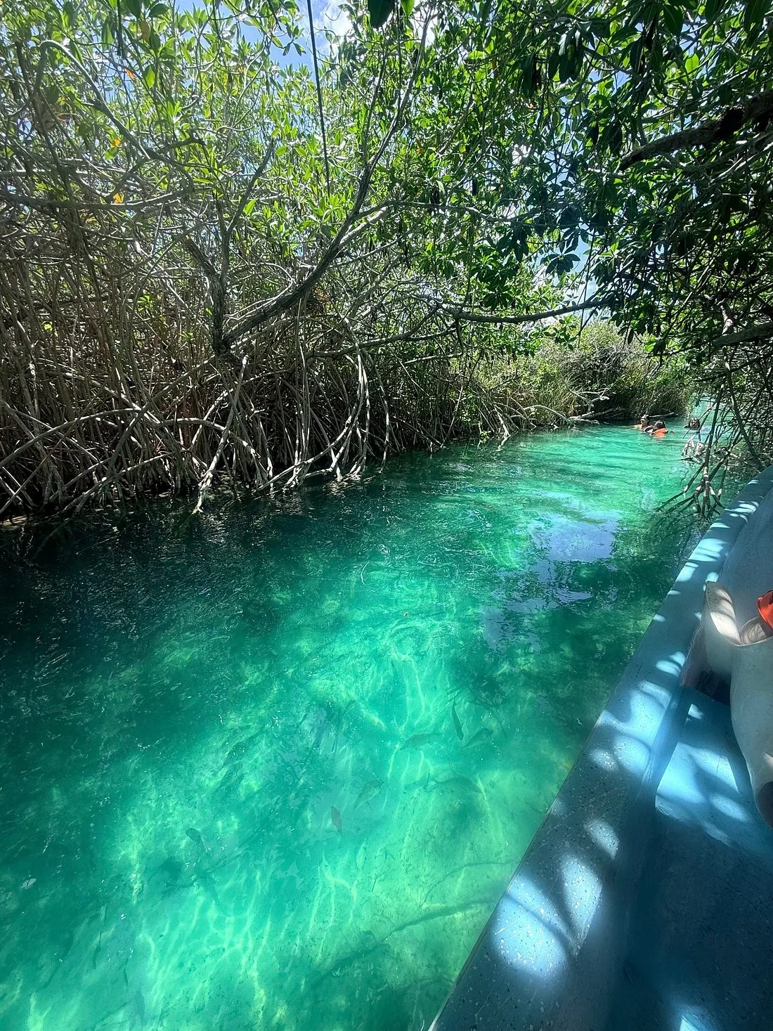 Walk Muyil, then float Sian Ka'an
